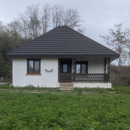 Villa Casa Livada Bunicii à Tîrgu Ocna Extérieur photo