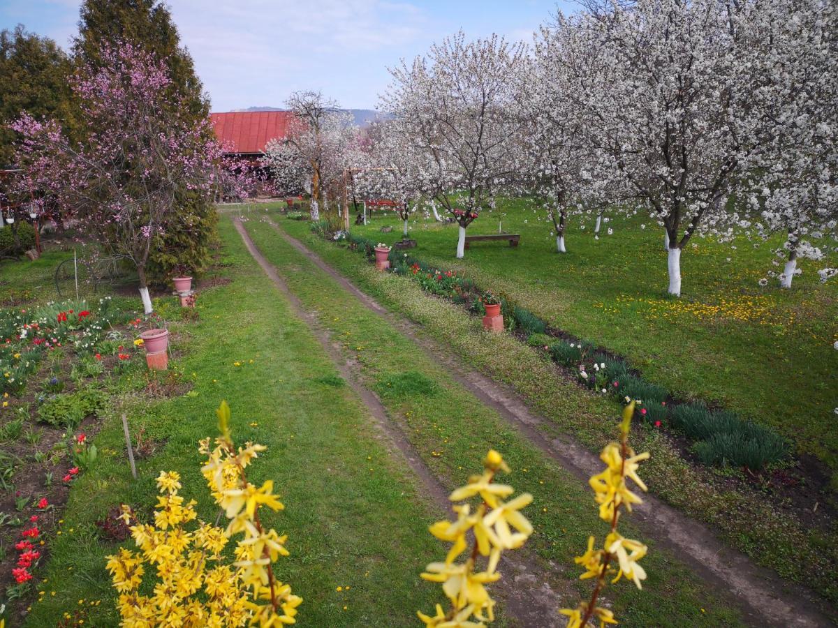 Villa Casa Livada Bunicii à Tîrgu Ocna Extérieur photo