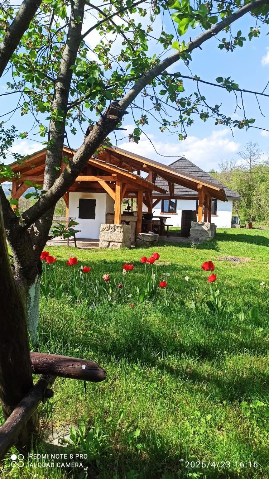 Villa Casa Livada Bunicii à Tîrgu Ocna Extérieur photo